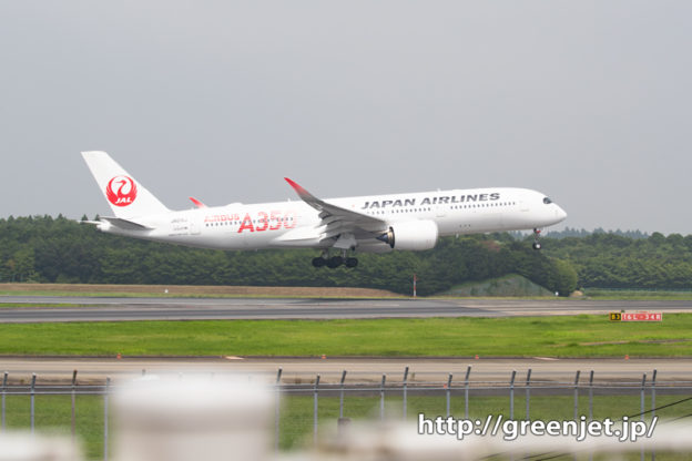 JALエアバスA350～十余三東雲の丘！
