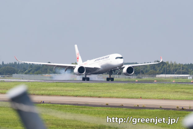 JAL エアバスA350の着陸を前で撮る
