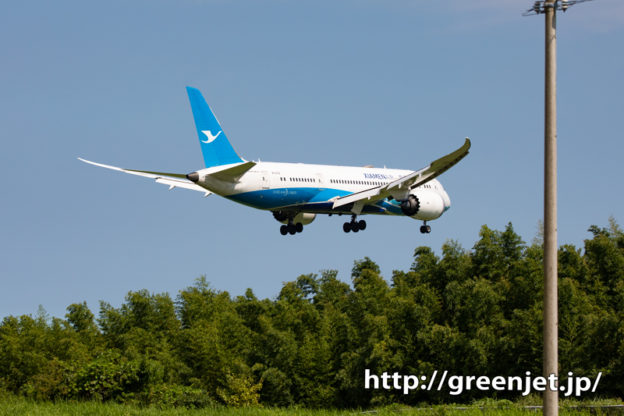 珍しくBランで撮る！シャーメンのB787