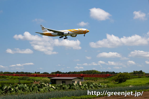 ノックスクートのB777＠野球場ポイント