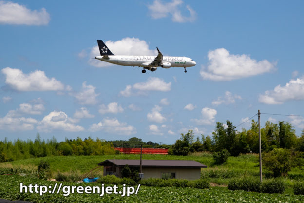 エバーのスタアラ機を野球場ポイントで撮る