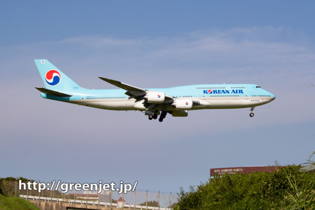 珍しくさくらの山で撮る大韓航空ジャンボ！