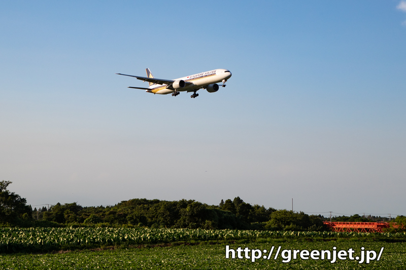 シンガポールのB777～野球場ポイント～