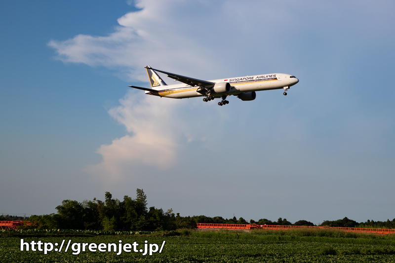 シンガポールのB777～野球場ポイント～