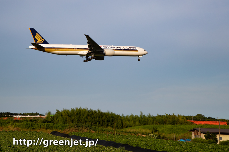 シンガポールのB777～野球場ポイント～