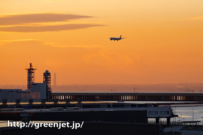 国際ターミナル駐車場から狙う朝焼けと飛行機@ANA B787