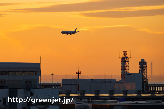 国際ターミナル駐車場から狙う朝焼けと飛行機@ANA B787