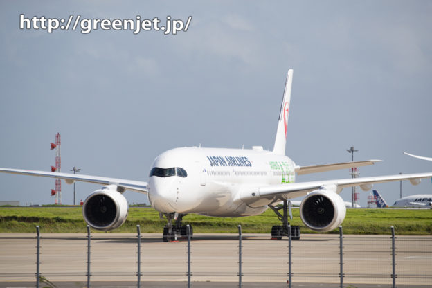 つばさ公園で捉えるJAL A350その1