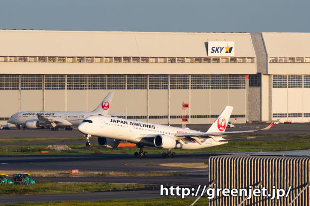 JALのA350を国際ターミナルで撮る！
