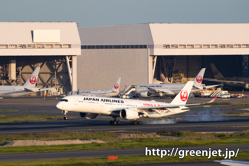 JALのA350を国際ターミナルで撮る！