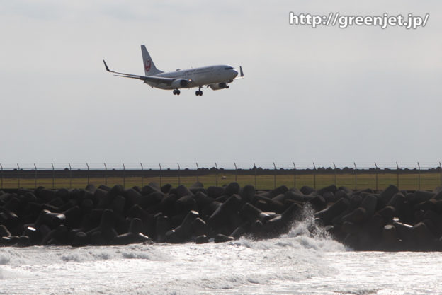 海を背景にJAL B737タッチダウン！