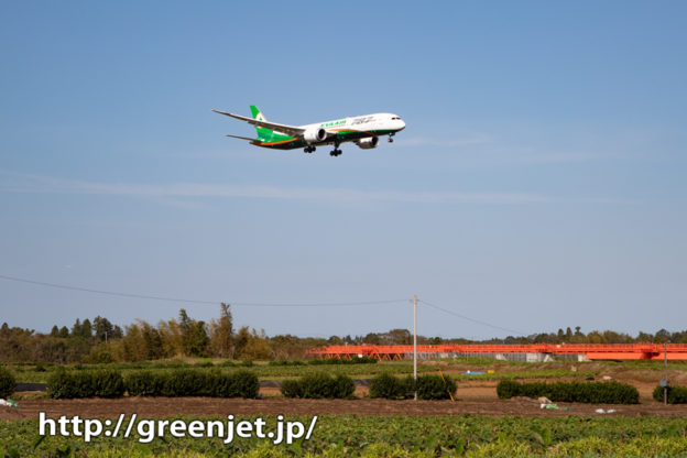 エバーのB787-9を南風の成田で捉える