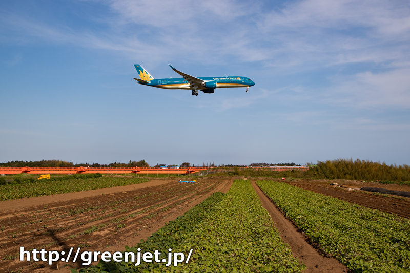 成田の畑とベトナム航空のエアバスA350