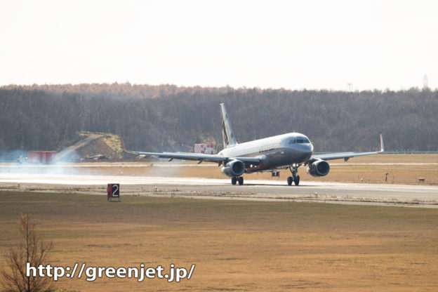 新千歳空港に降り立つシルバーの飛行機は！