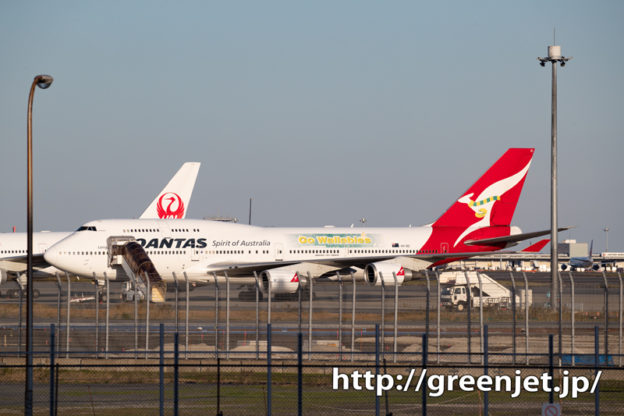 カンタスのワラビーズ特別塗装機を撮ったぞ