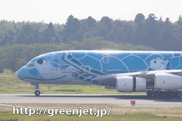 ANA フライングホヌの着陸を捉えるっ！