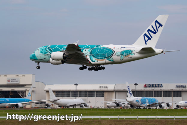 ANAフライングホヌ2号機を畑ポイントで！