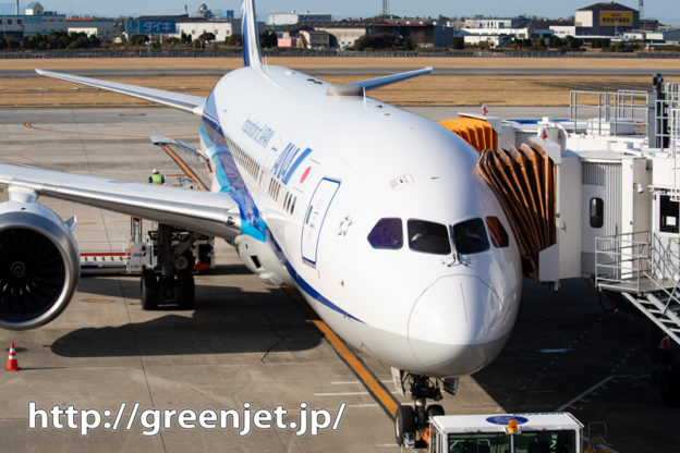 松山空港の展望デッキ～順光で撮る飛行機