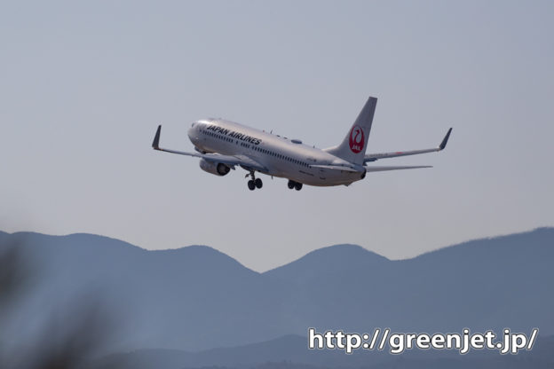 JAL B737をココで撮る＠松山