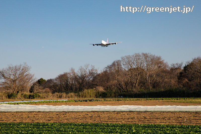 成田の畑とタイのエアバスA380～飛行機