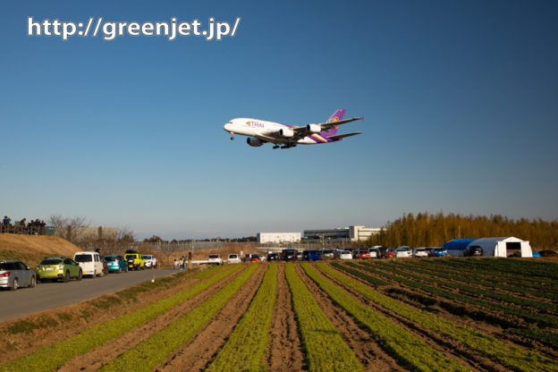成田の畑とタイのエアバスA380～飛行機