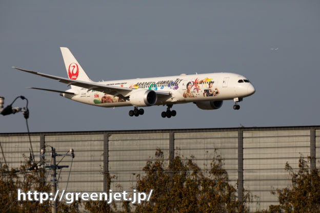 嵐ハワイジェットを東雲の丘で追う～飛行機