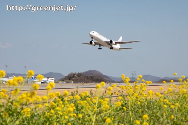 菜の花と飛行機＠高松～その3