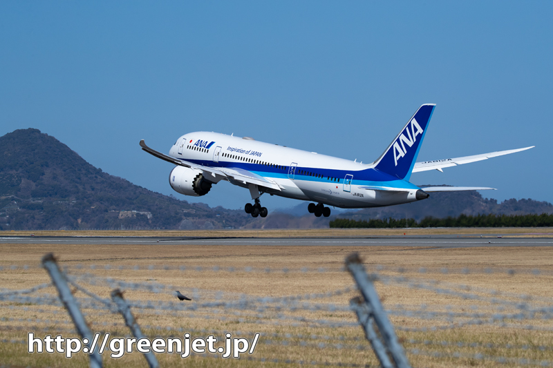 松山の青空と飛行機～ANA B787