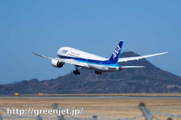 松山の青空と飛行機～ANA B787