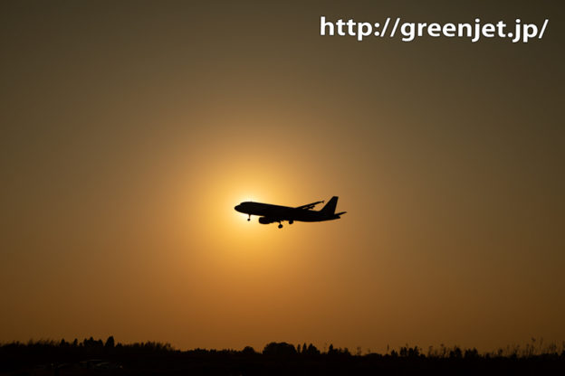 夕日のど真ん中に刺さる飛行機を成田で