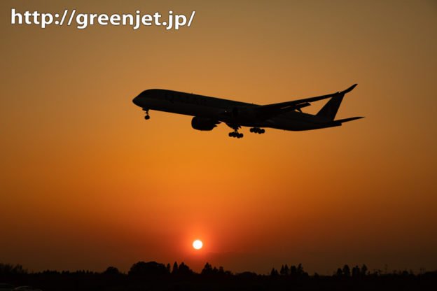 成田の夕日の世界に降りてきた飛行機はA350！