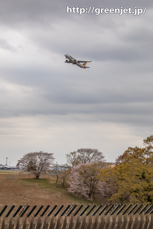 奥の細道で撮る桜と飛行機写真～成田
