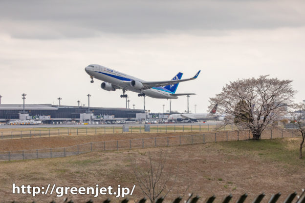 奥の細道で狙う桜と飛行機もまた良し～成田