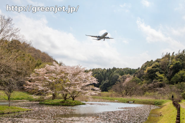 2020 成田の桜と飛行機写真は控えめⅡ