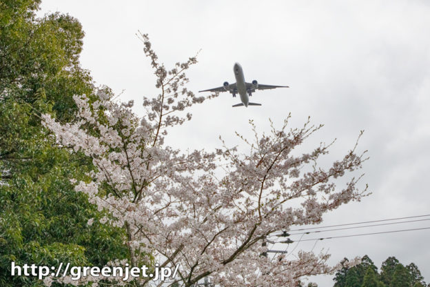 成田のBラン周辺で探した飛行機と桜Ⅲ