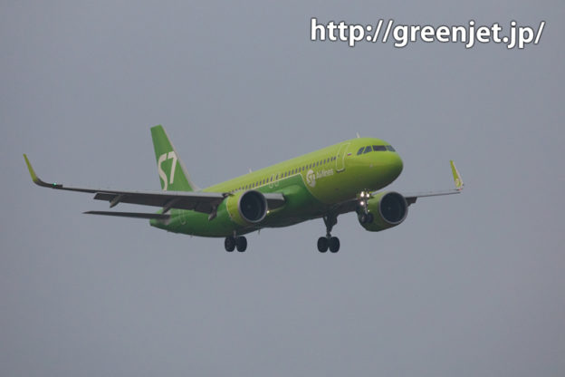 成田でallグリーンの飛行機をGet