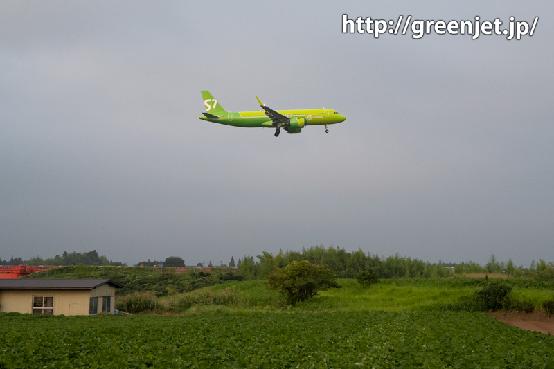 成田でallグリーンの飛行機をGet