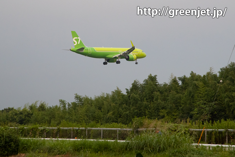成田でallグリーンの飛行機をGet