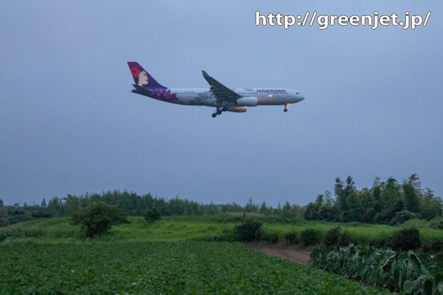 ハワイアンな飛行機を成田で捉える！