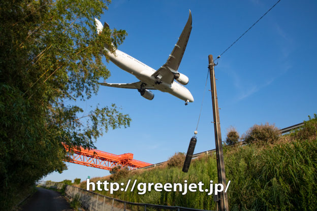 死角から飛び出してきた飛行機を捉える