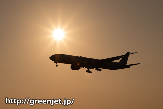 理想的な夕日と飛行機の位置関係かな。。