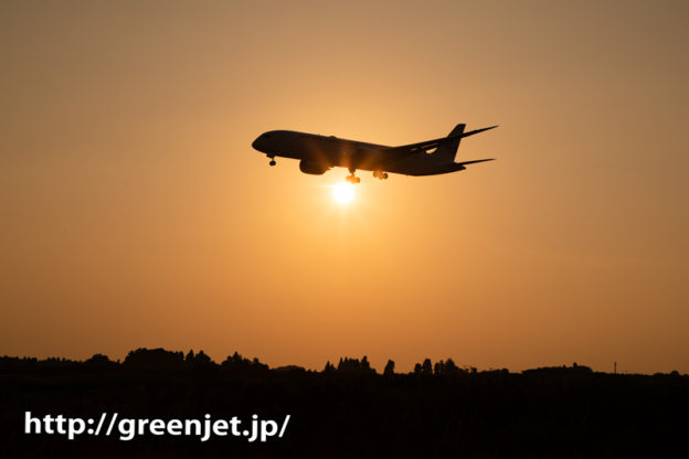 飛行機のお腹に太陽！夕日と飛行機写真