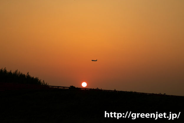 この場所で夕日と飛行機を撮るの好き～成田