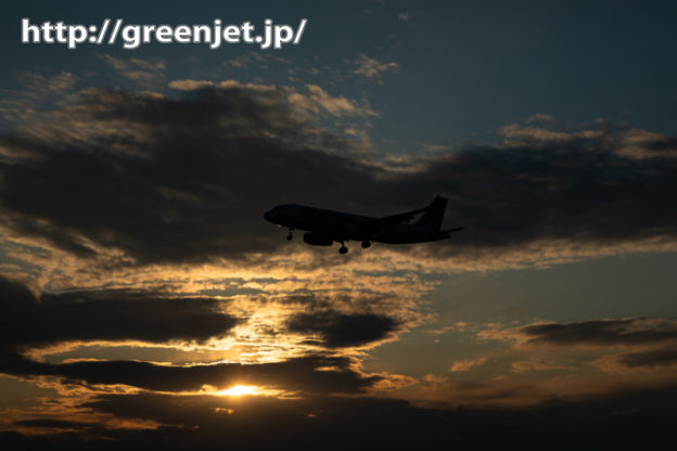 雲多め飛行機写真も夕焼け絡むと超美しい！