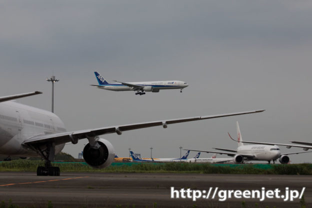 この翼のアングルに飛行機が絡む！最高だね