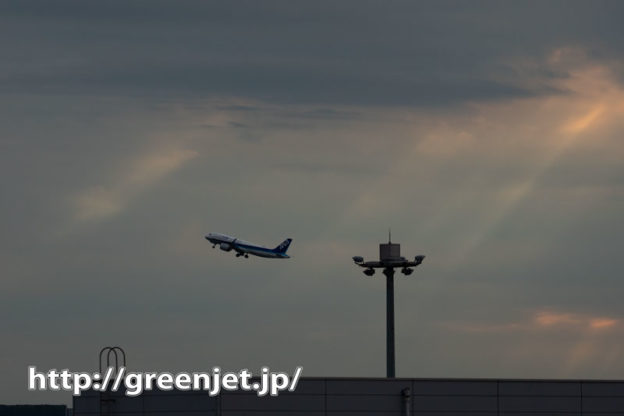 羽田で光の光芒を追う～そこに飛行機