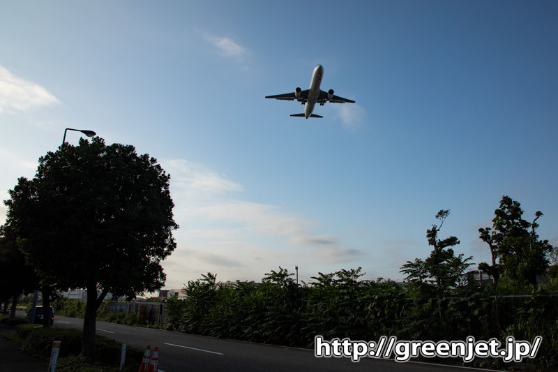 羽田付近の道端で撮る飛行機写真が超いい！