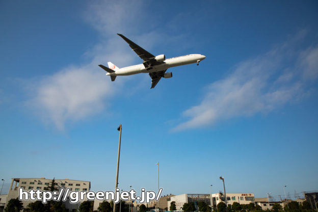 京浜島でこんな飛行機写真～最高だね＠羽田