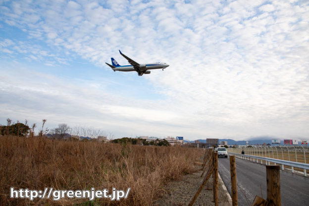 福岡の一本道上空を飛行機が横切る