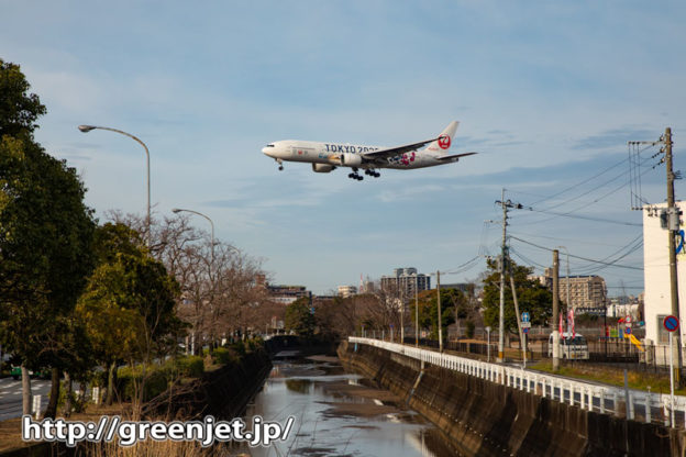 飛行機写真～福岡で小川を絡めて特別塗装機